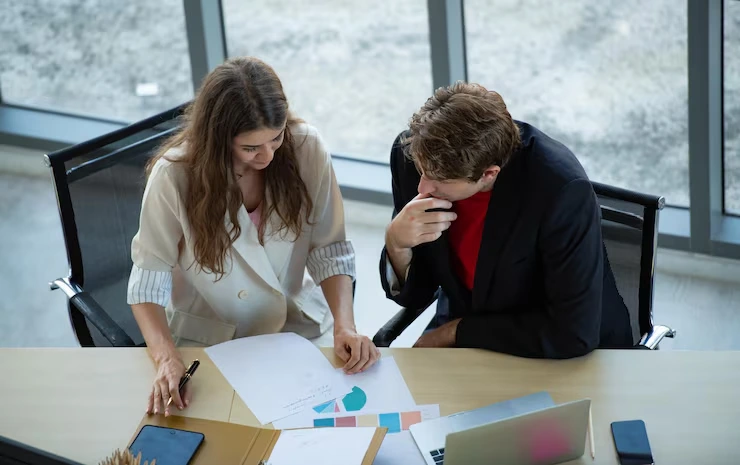 Business Loss Utilisation Strategies