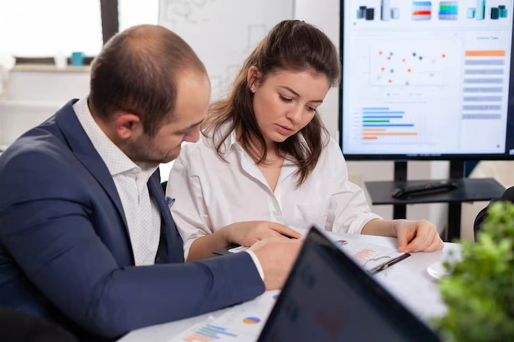 Corporate Tax Audit Support